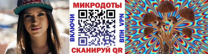 Галлюциногенные грибы MAGIC MUSHROOMS  цены наркотик  Балахна 