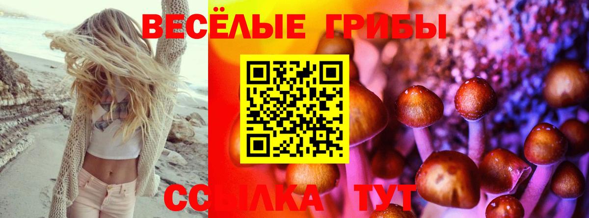 Псилоцибиновые грибы Psilocybe Балахна