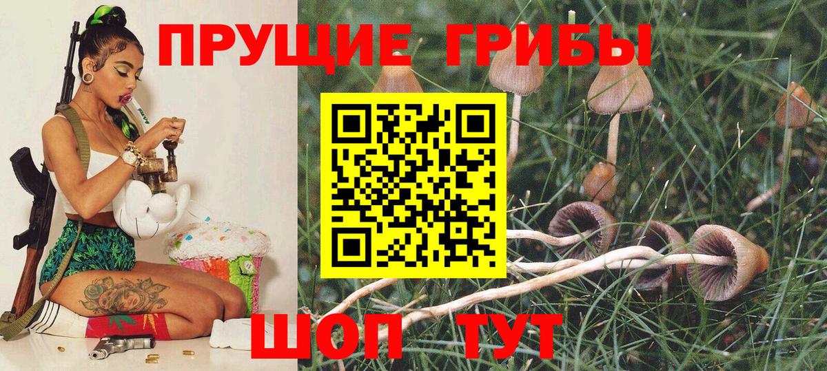 Балахна  Псилоцибиновые грибы прущие грибы  Галлюциногенные грибы мухоморы  Вход с VPN 