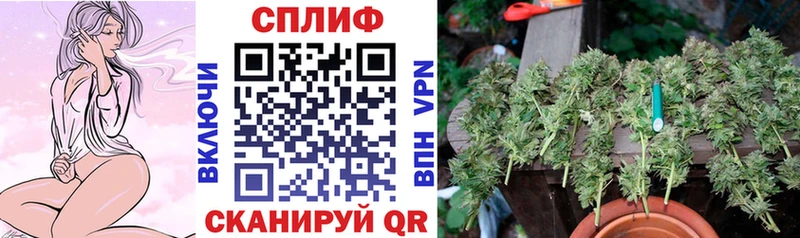 Бошки марихуана сатива  Балахна 